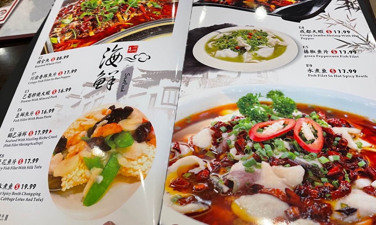 Chengdu Gourmet（Squirrel Hill) - 3