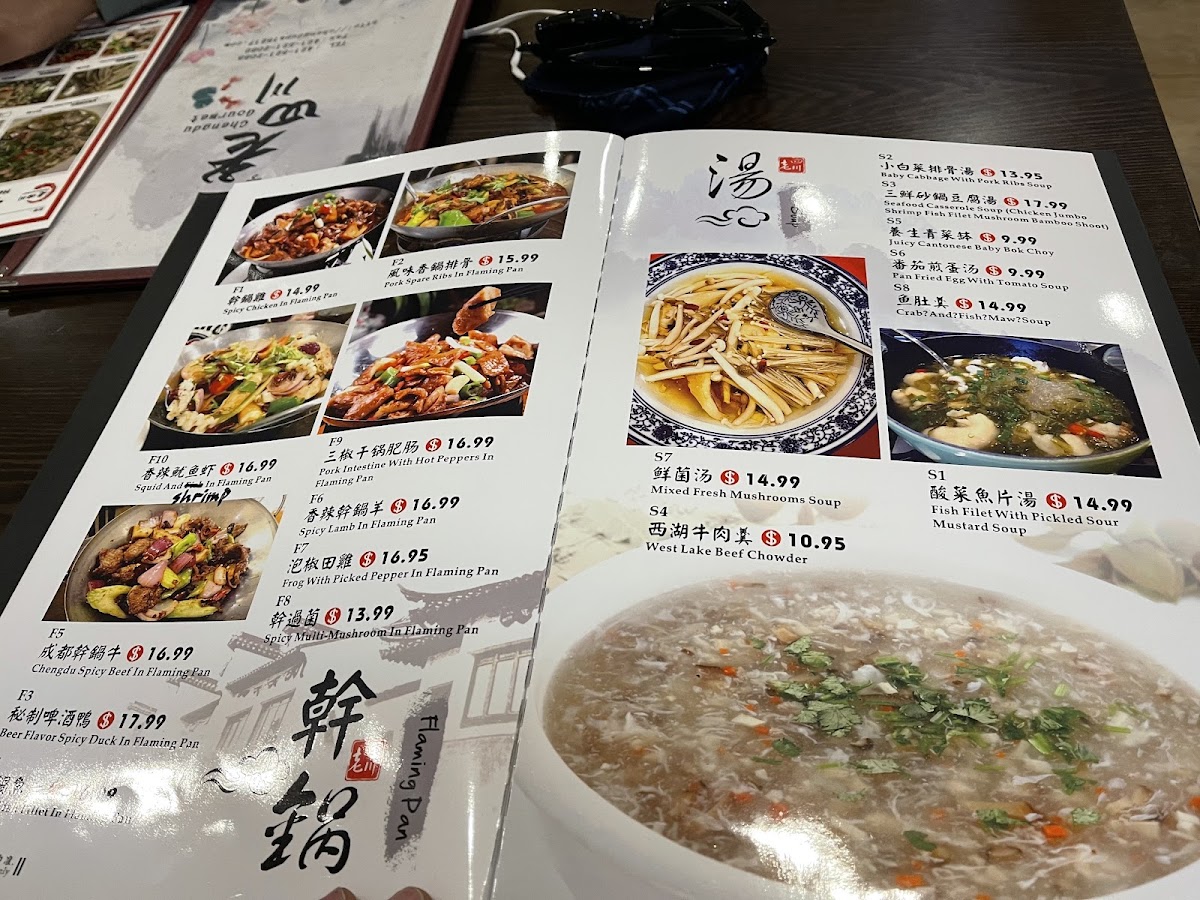 Chengdu Gourmet（Squirrel Hill) - 4