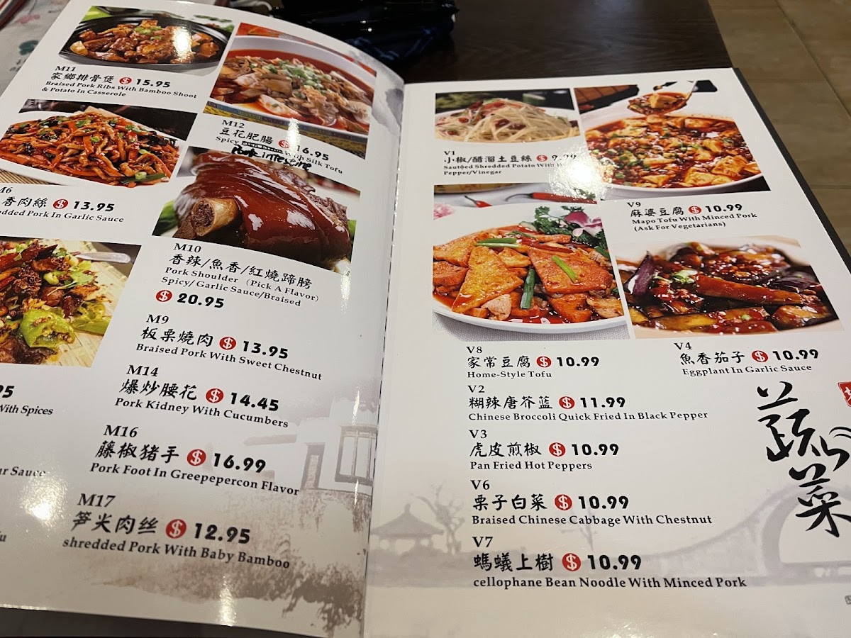 Chengdu Gourmet（Squirrel Hill) - 5