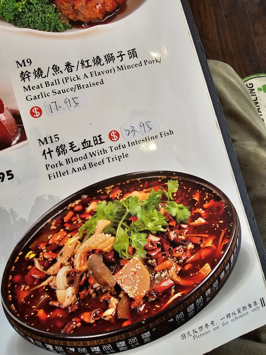 Chengdu Gourmet（Squirrel Hill) - 6