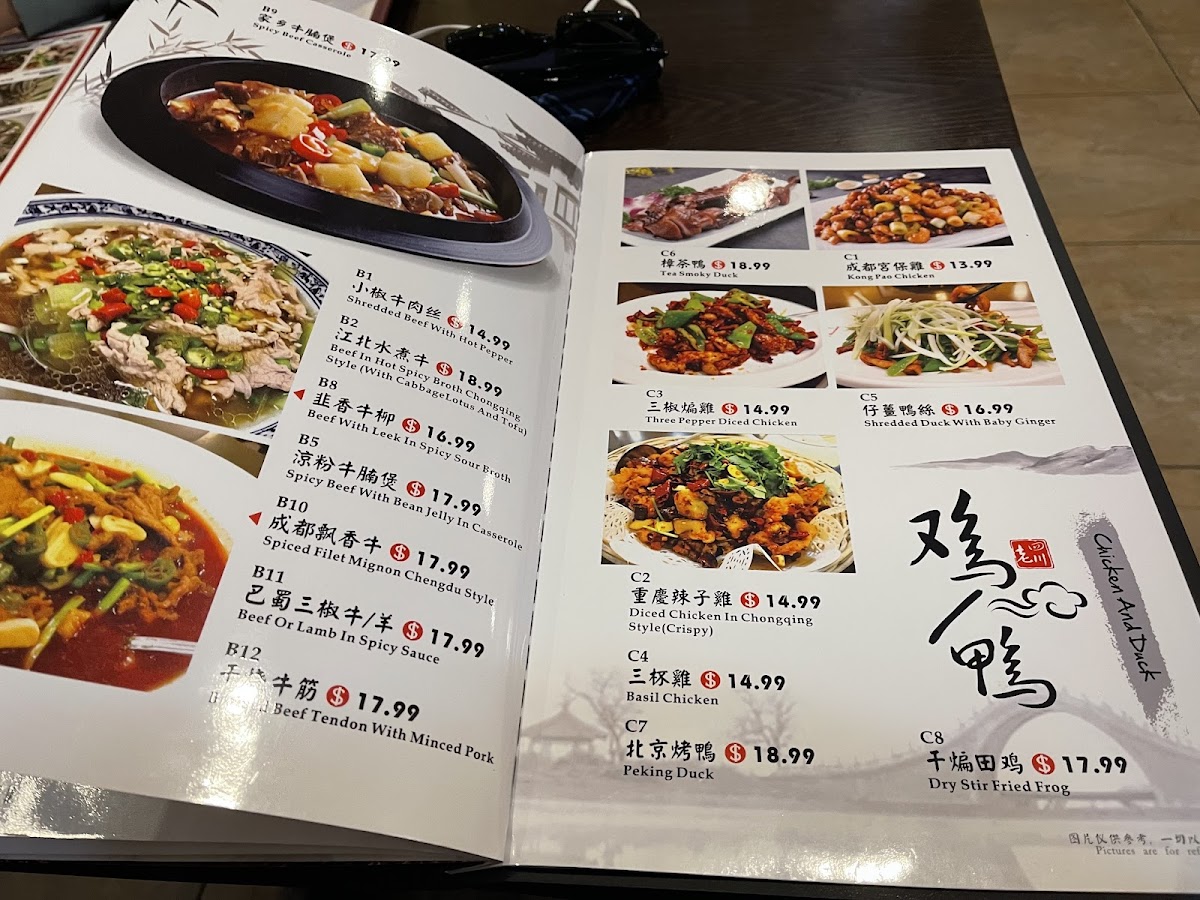 Chengdu Gourmet（Squirrel Hill) - 7