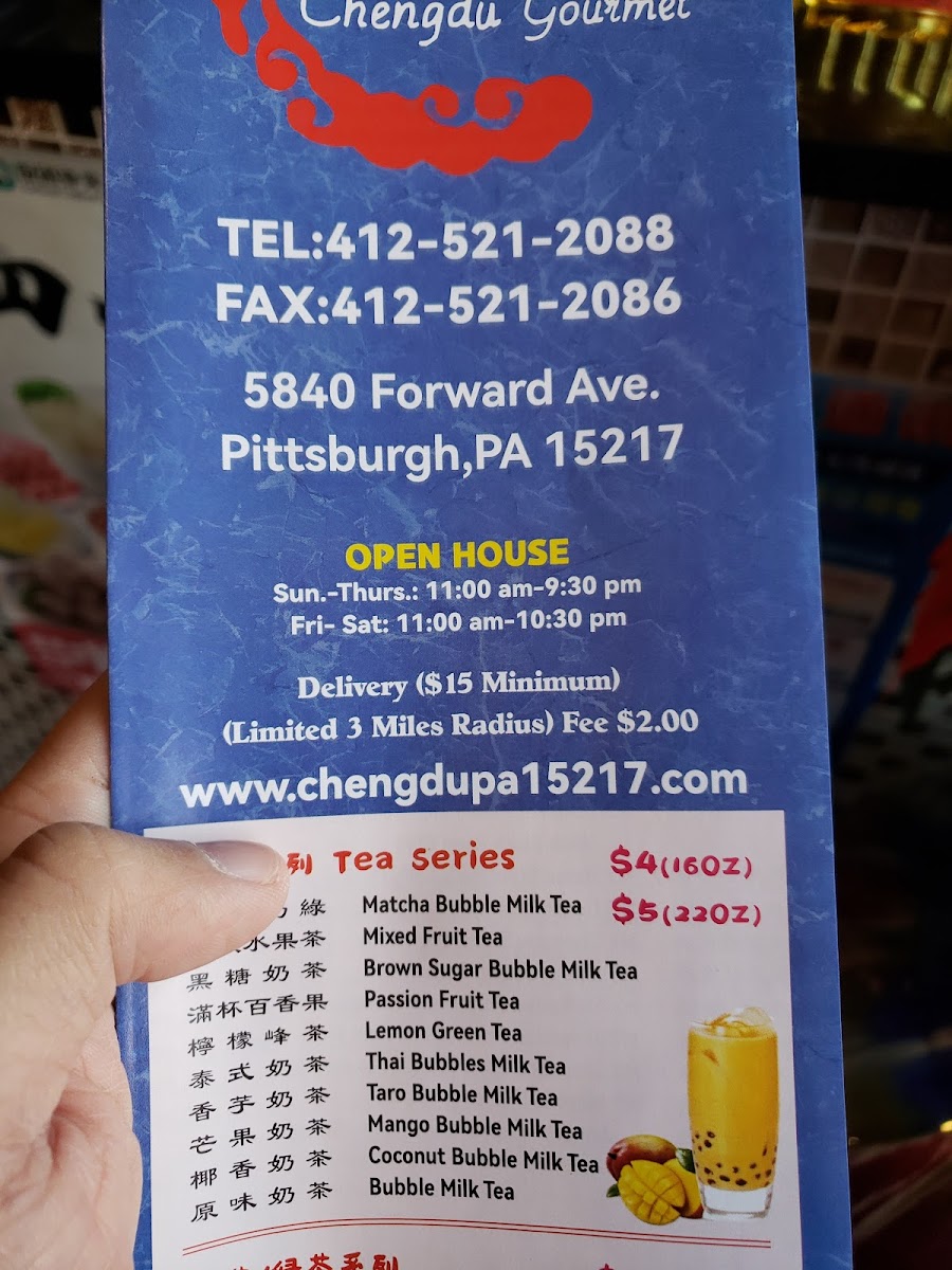 Chengdu Gourmet（Squirrel Hill) - 9