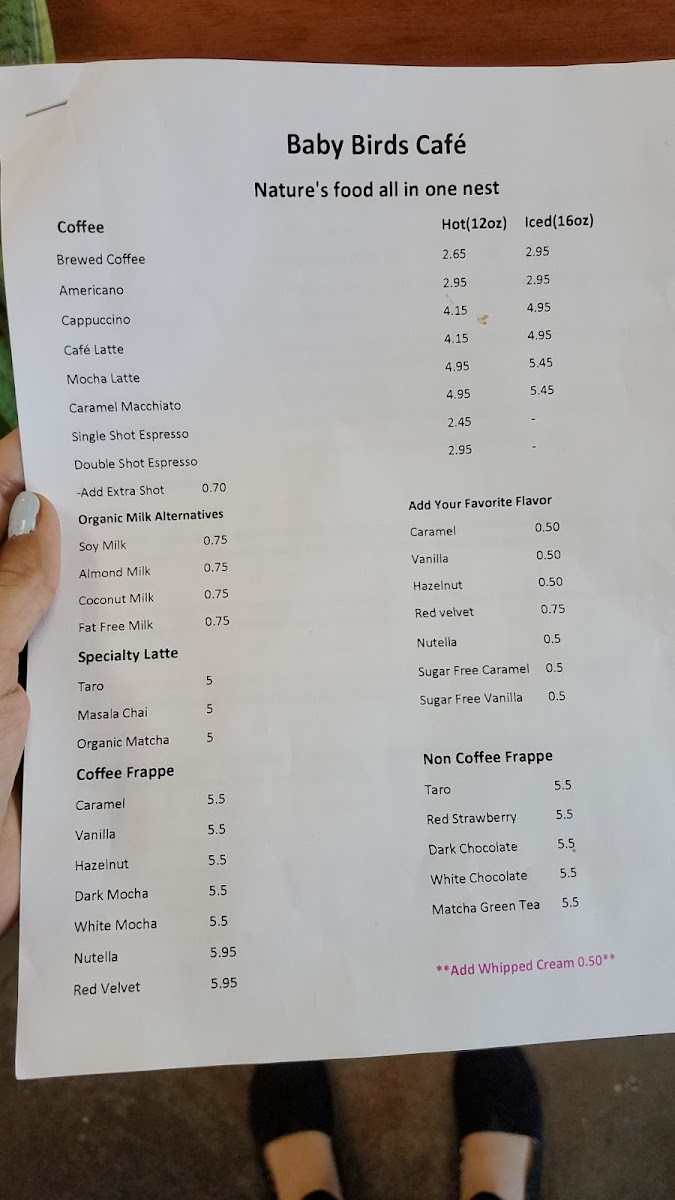 Baby Birds Cafe - 10