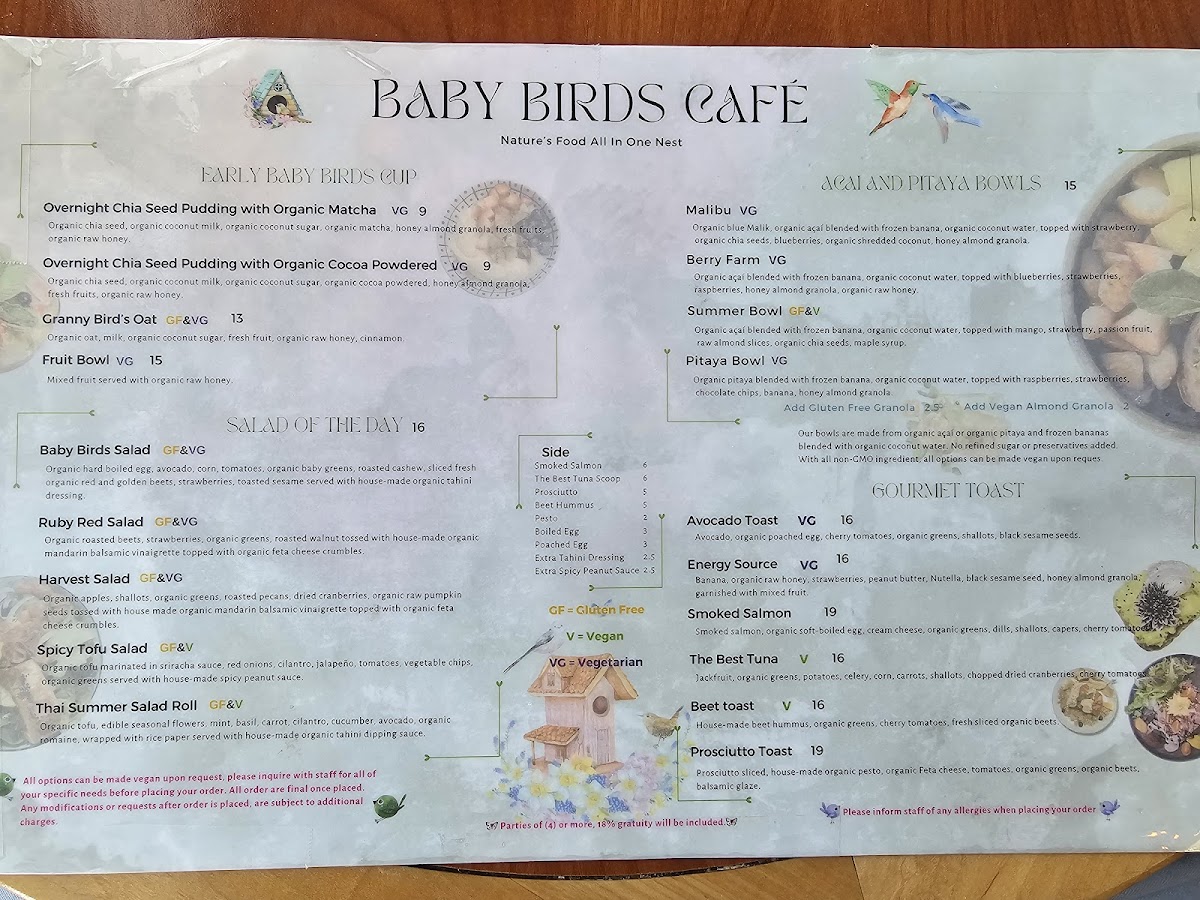 Baby Birds Cafe - 3