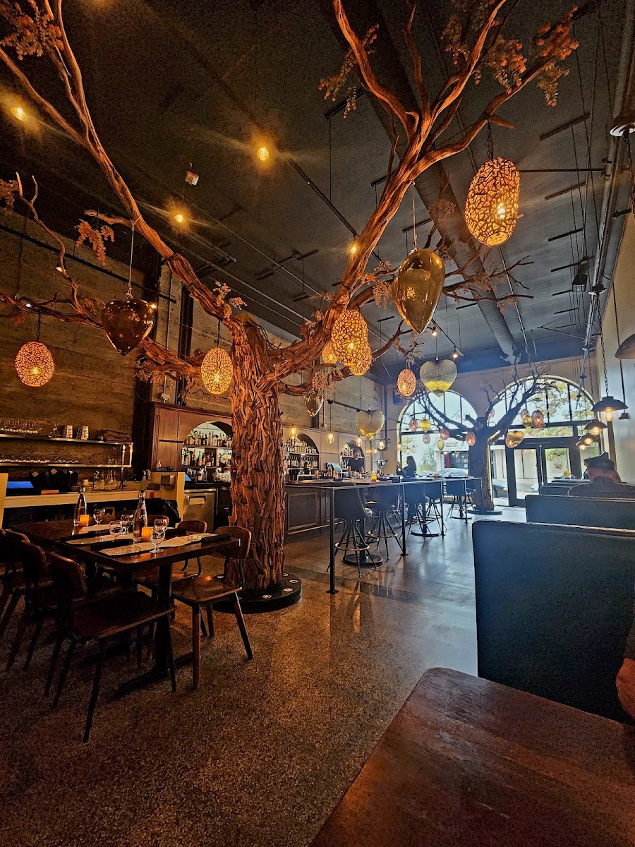 Cuerno Bravo Steakhouse