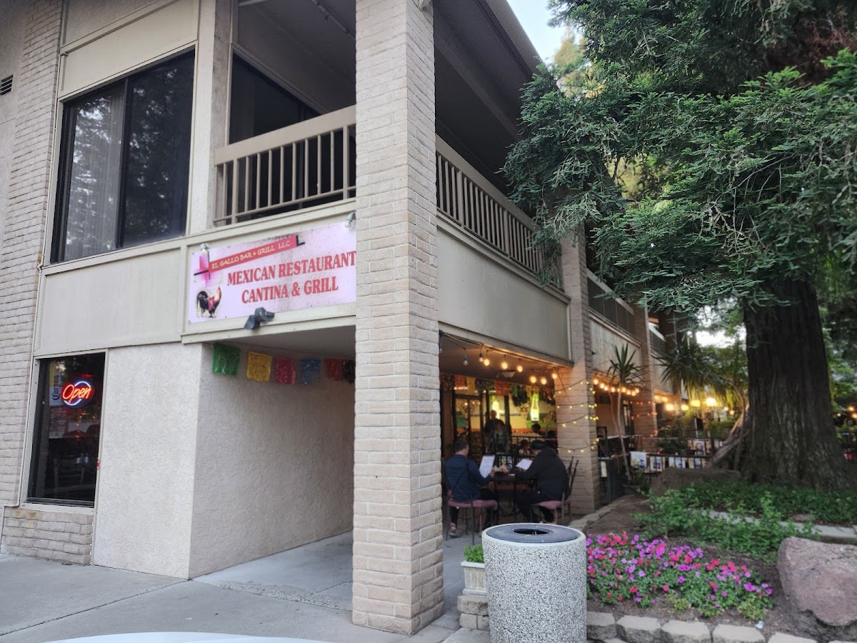El Gallo Restaurant