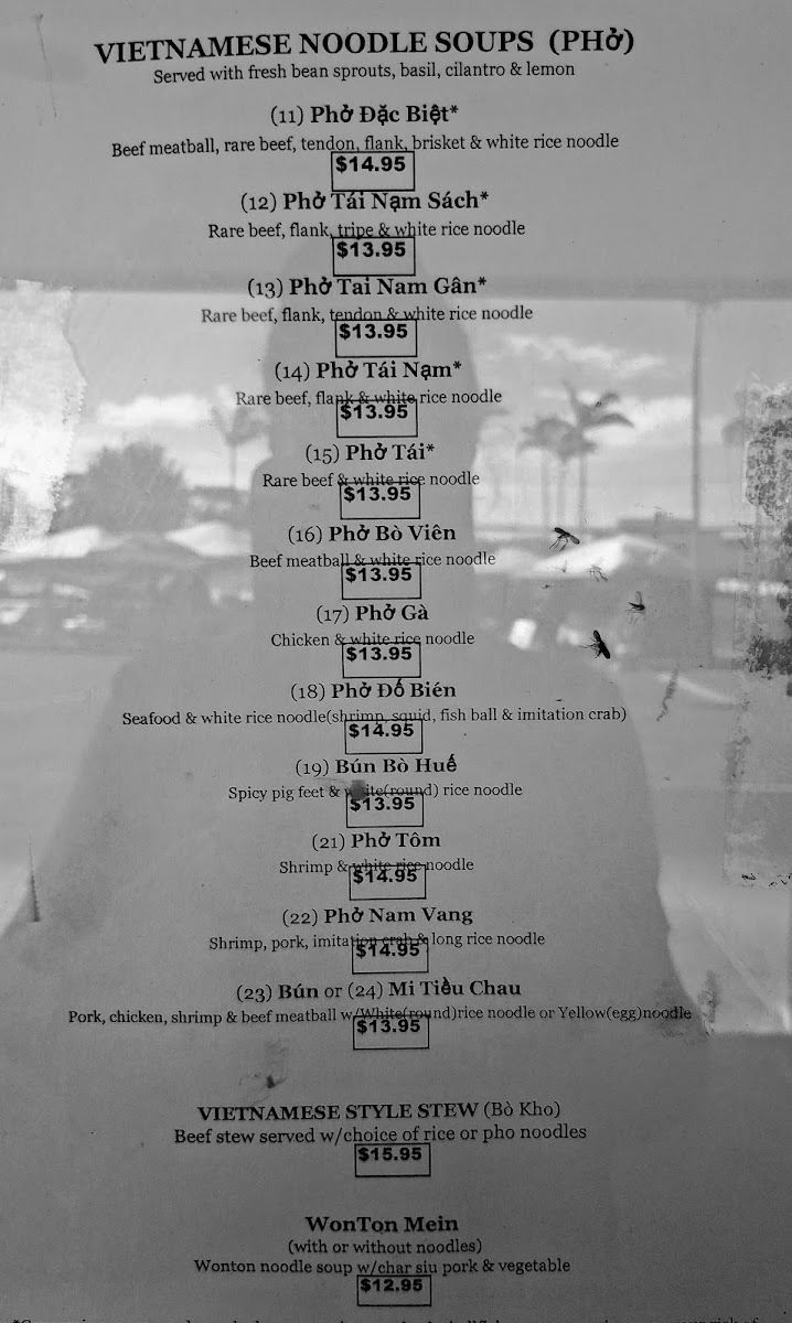 Hilo Rice Noodle Soup - 1