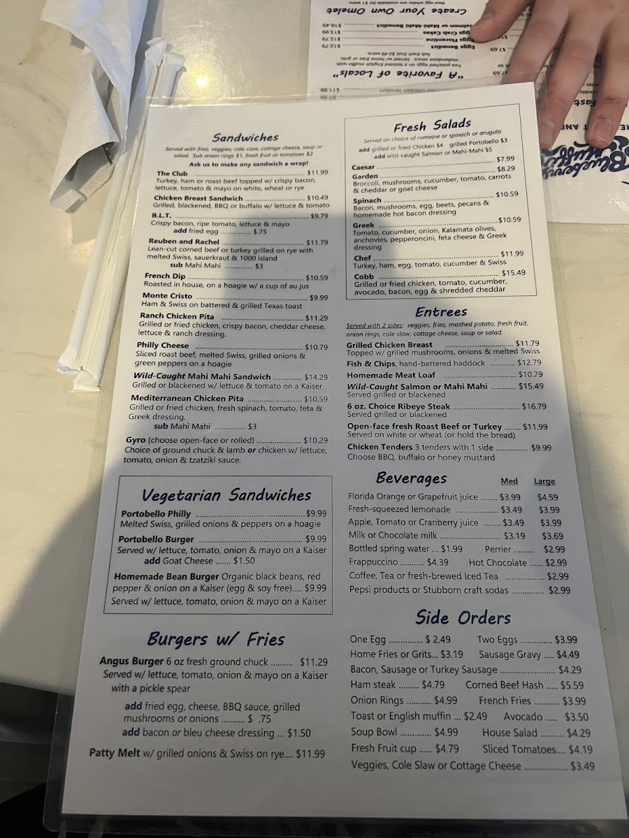 The Blueberry Muffin - 3