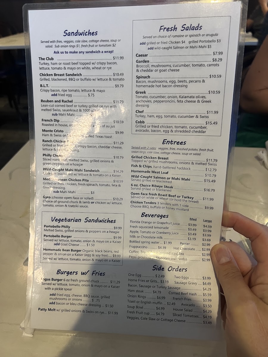 The Blueberry Muffin - 5