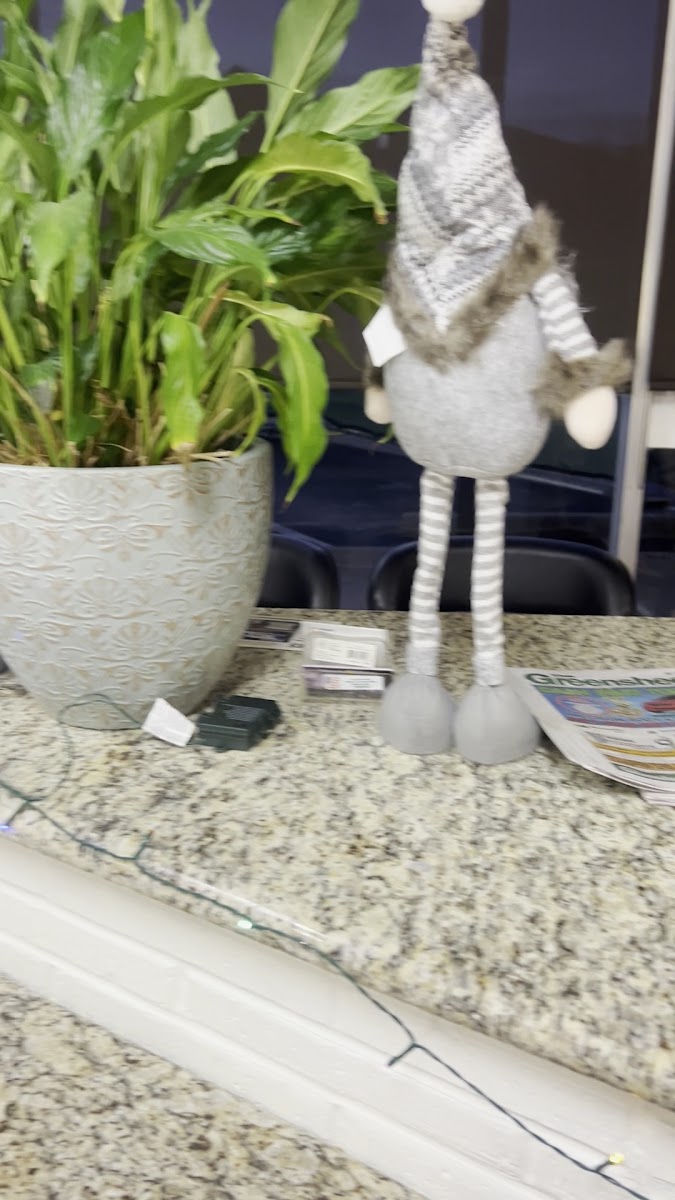 Bellaire Coffee Shop - 9