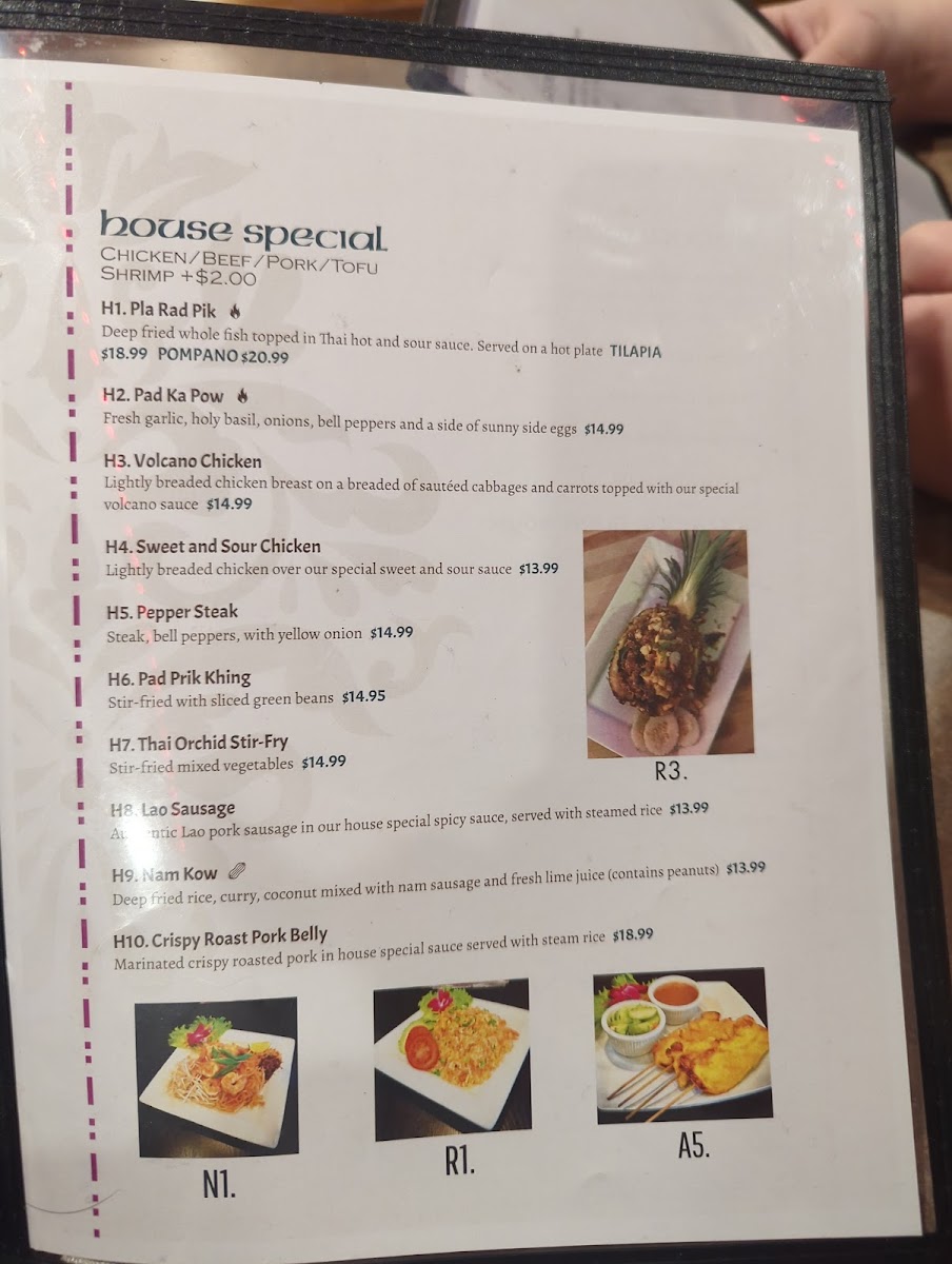 Thai Orchid Bar and Grill - 5