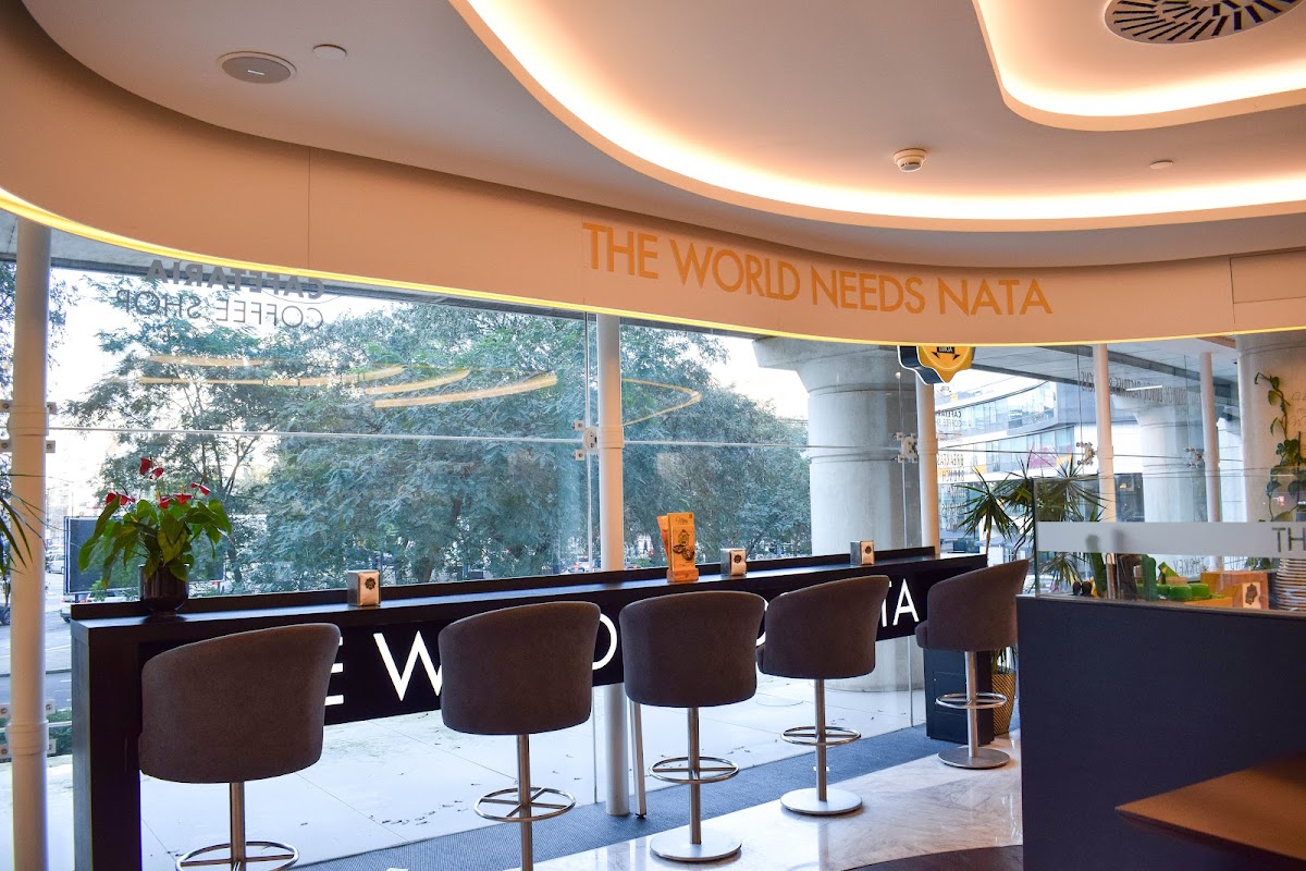 The World Needs Nata