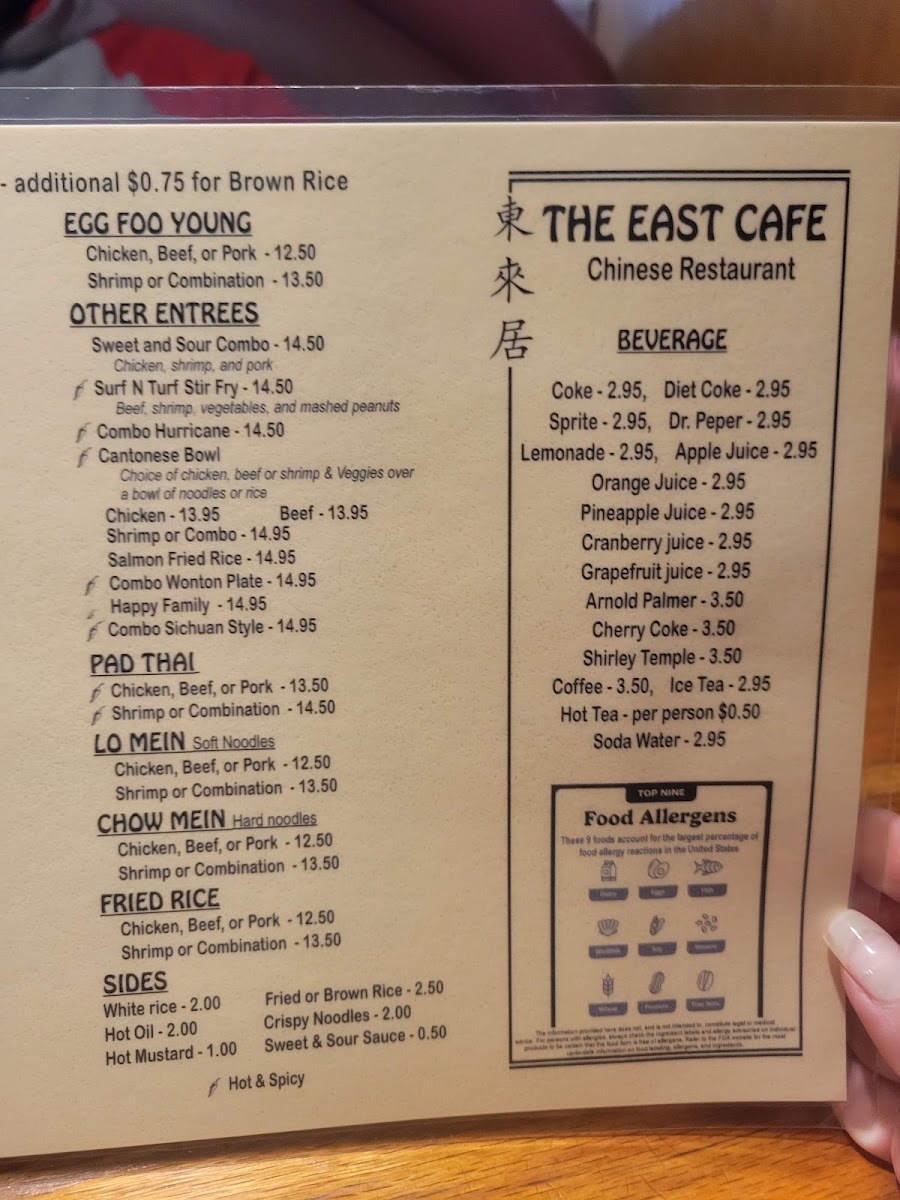 The East Cafe Chinese Restaurant - 7