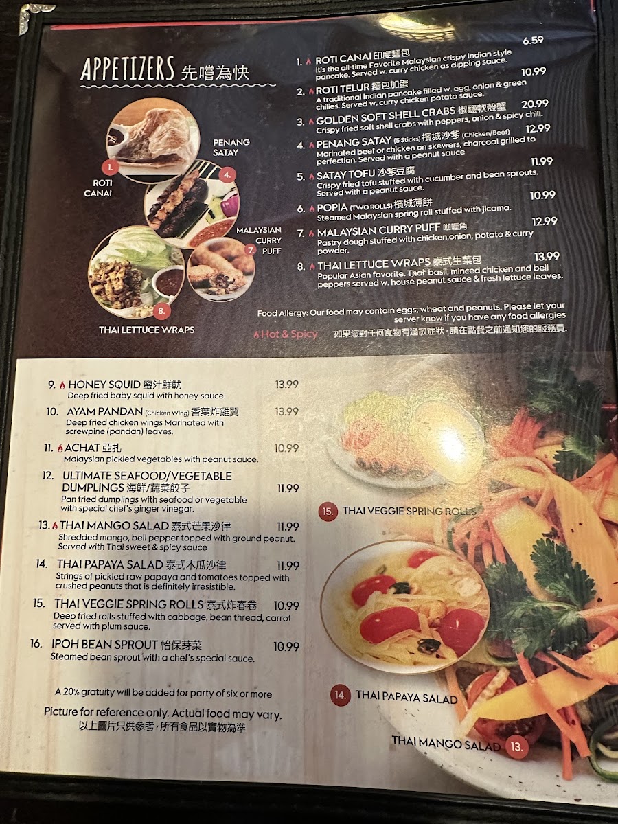 Penang Malaysian and Thai Cuisine - 10