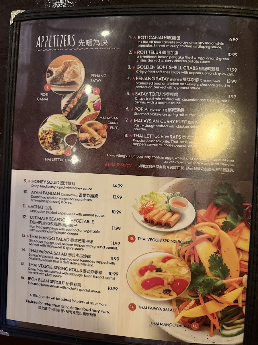 Penang Malaysian and Thai Cuisine - 3