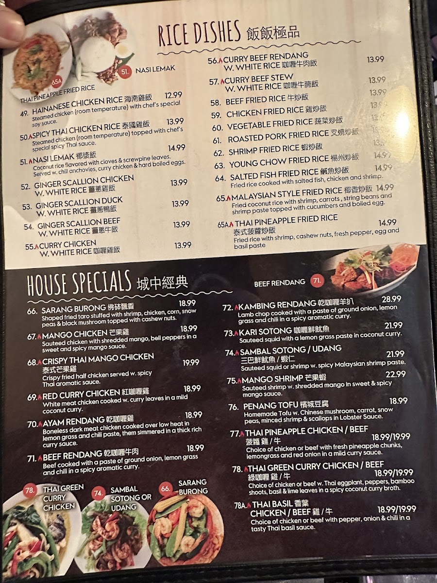 Penang Malaysian and Thai Cuisine - 7