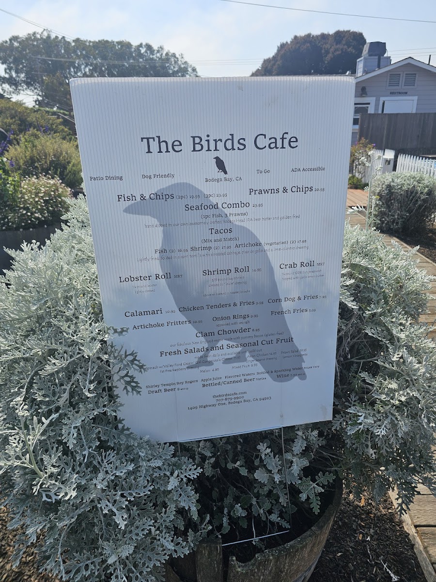 The Birds Cafe - 3