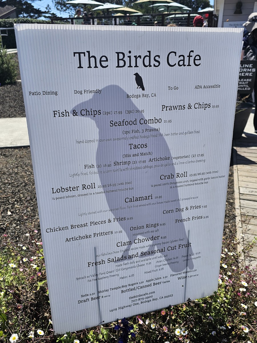 The Birds Cafe - 5