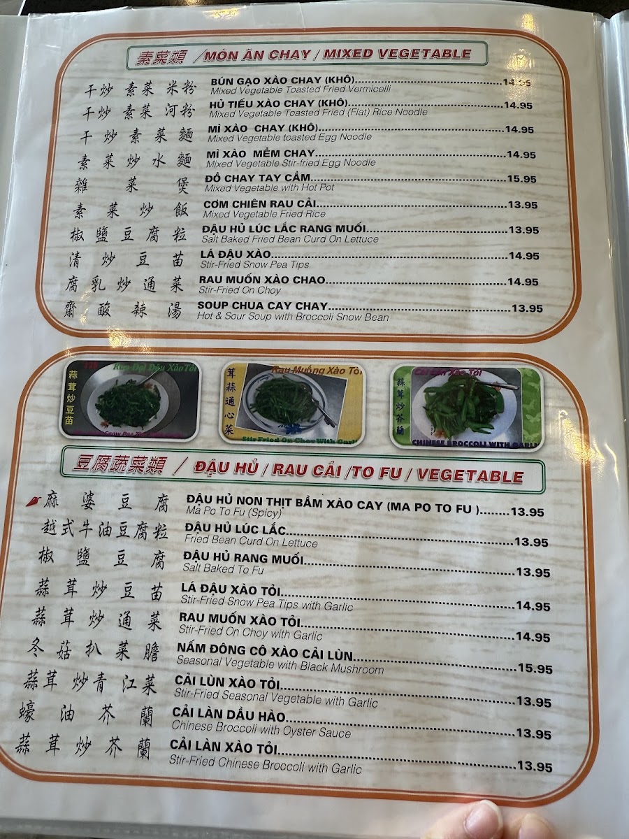 A Ly Oriental Restaurant - 3