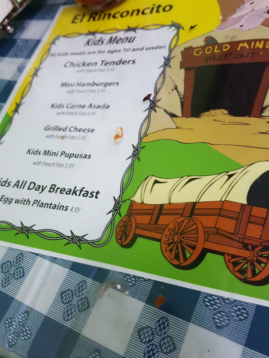 El Rinconcito Del Sabor - 10