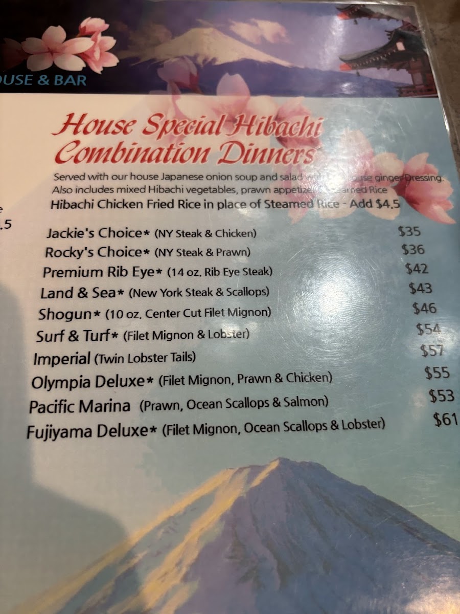 Fujiyama Japanese Steakhouse - 3