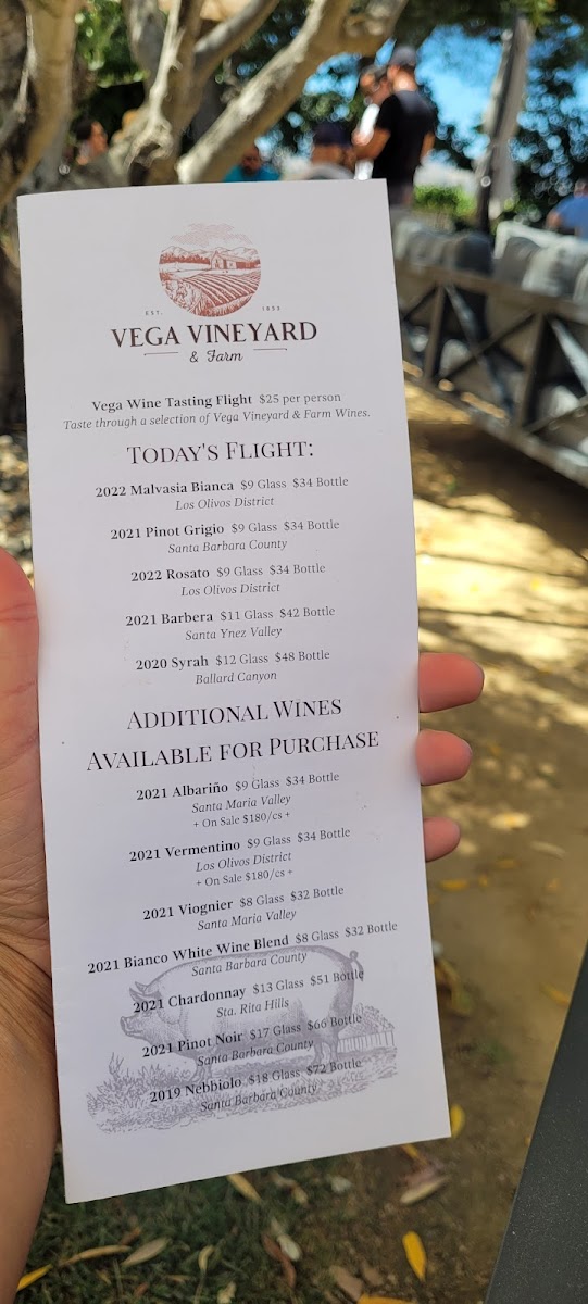 Vega Vineyard and Farm - 6