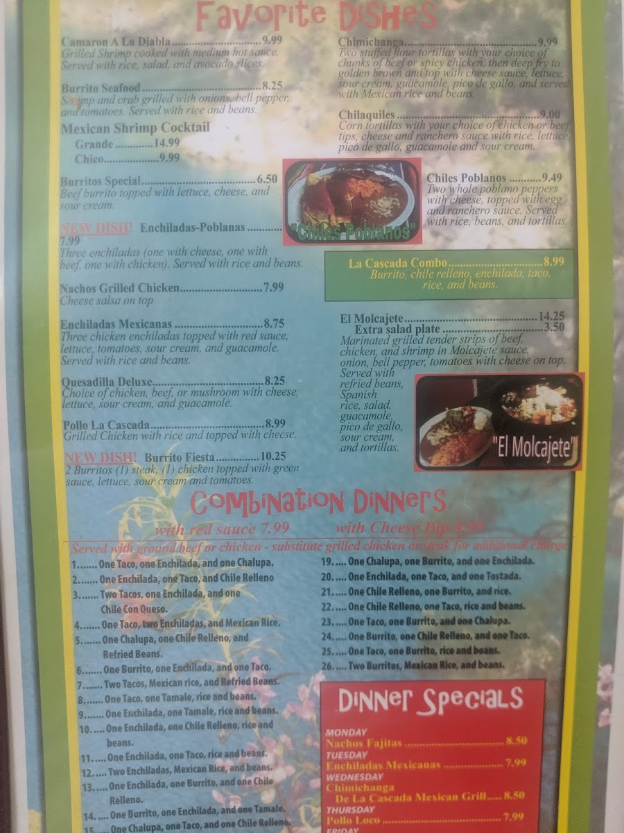 La Cascada Mexican Grill - 9