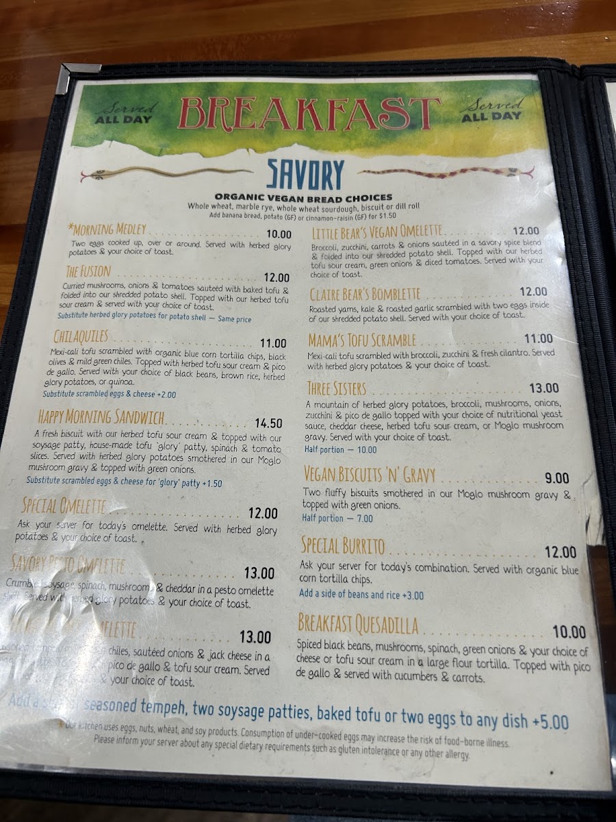 Morning Glory Café - 2