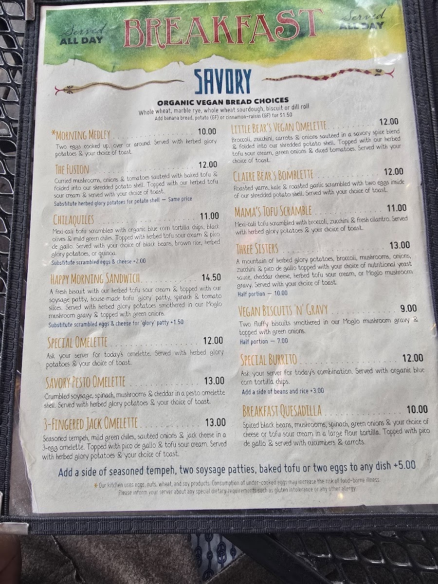 Morning Glory Café - 3