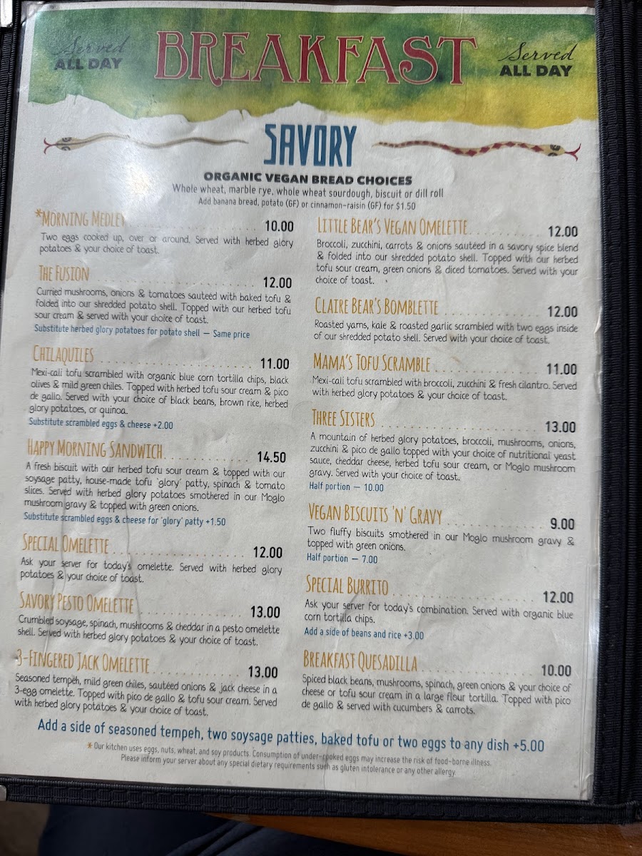 Morning Glory Café - 6