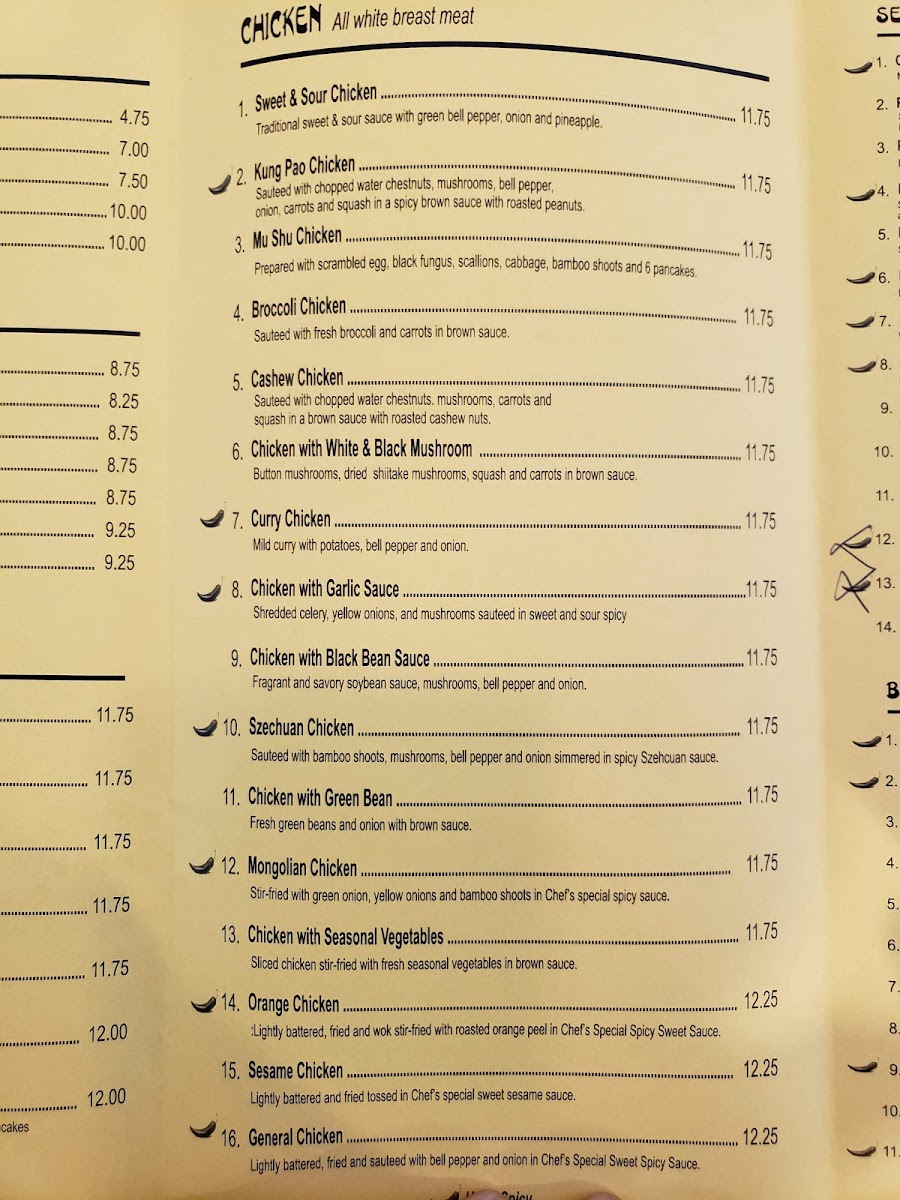 Iron Wok | Chinese Cuisine - 9