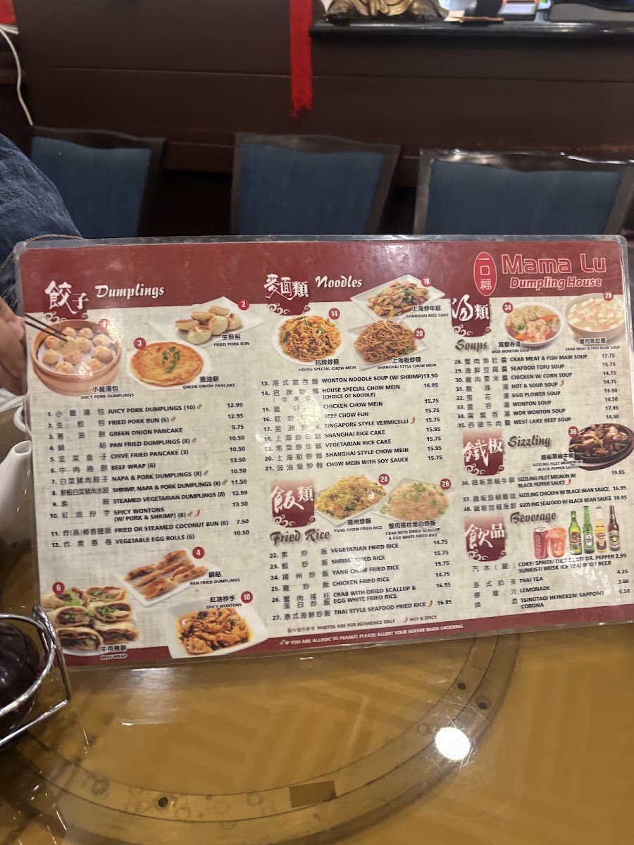 Mama Lu's Dumpling House - 1