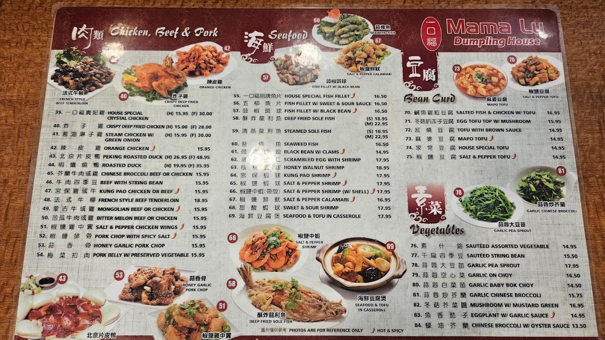 Mama Lu's Dumpling House - 2