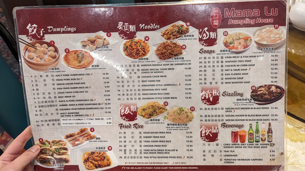 Mama Lu's Dumpling House - 7