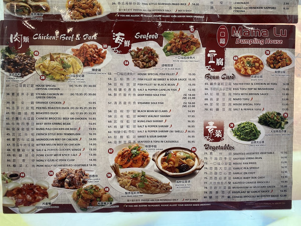 Mama Lu's Dumpling House - 9