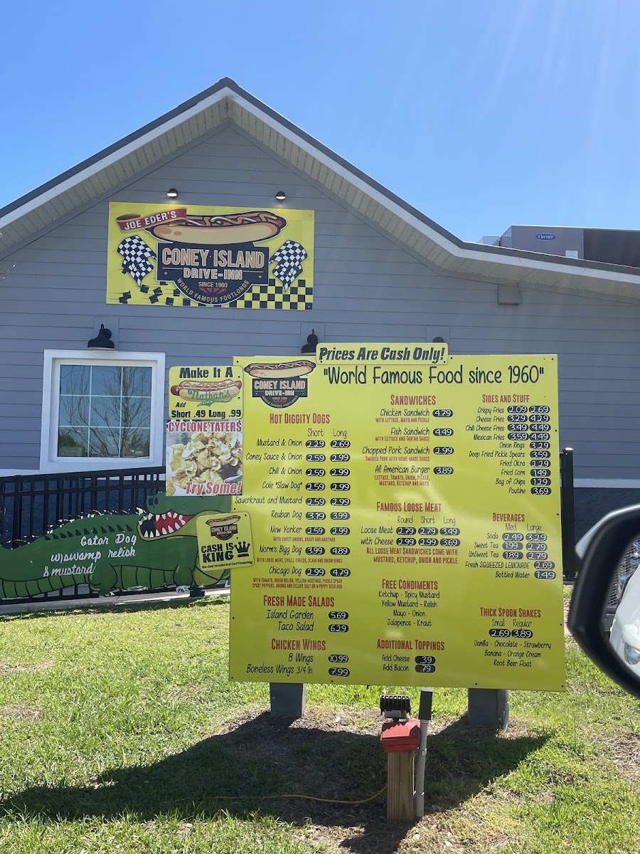 Coney Island Crystal River - 3