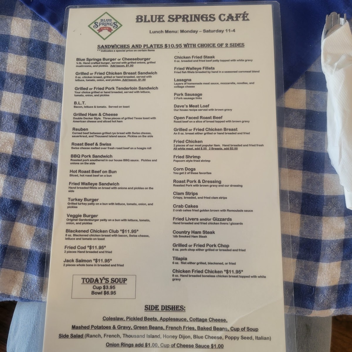 Blue Springs Cafe - 8