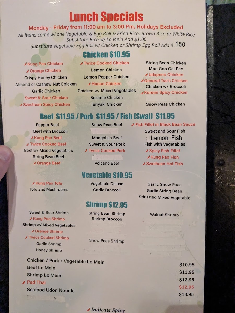 Sun Asian Kitchen - 9