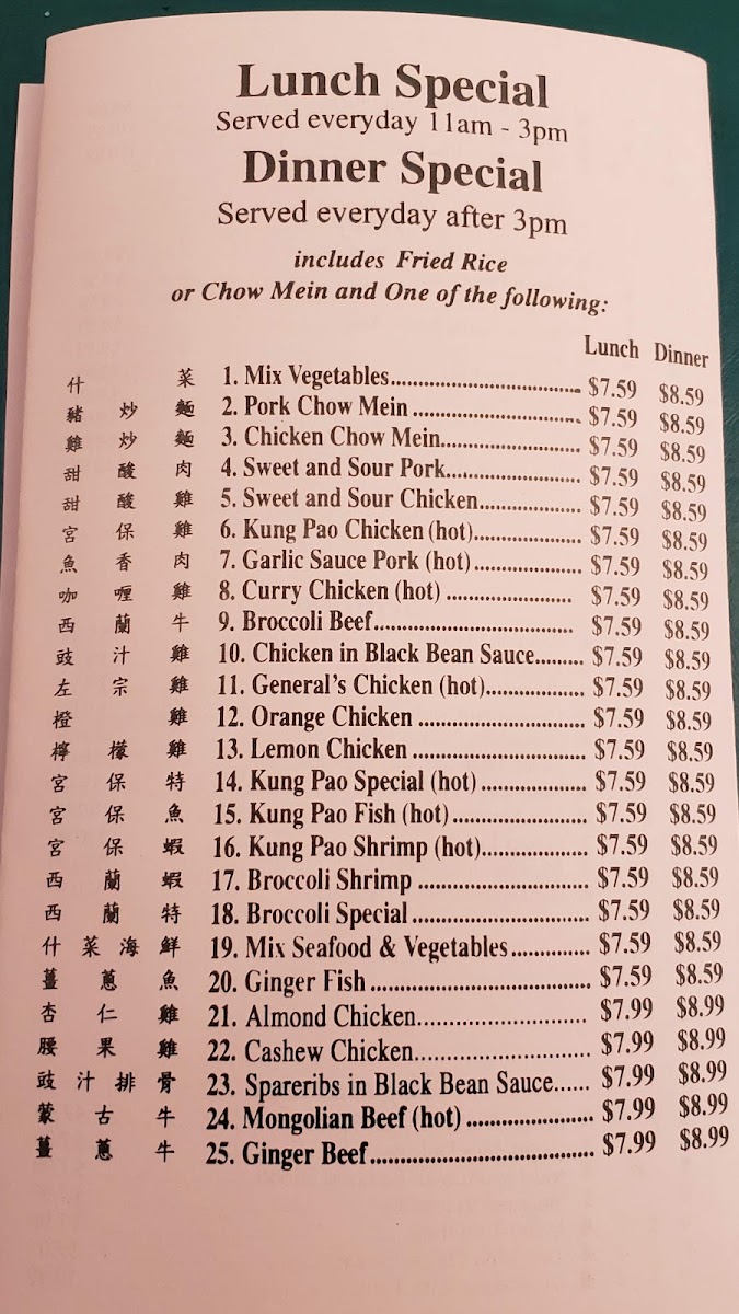 Cantonese Express Food - 10