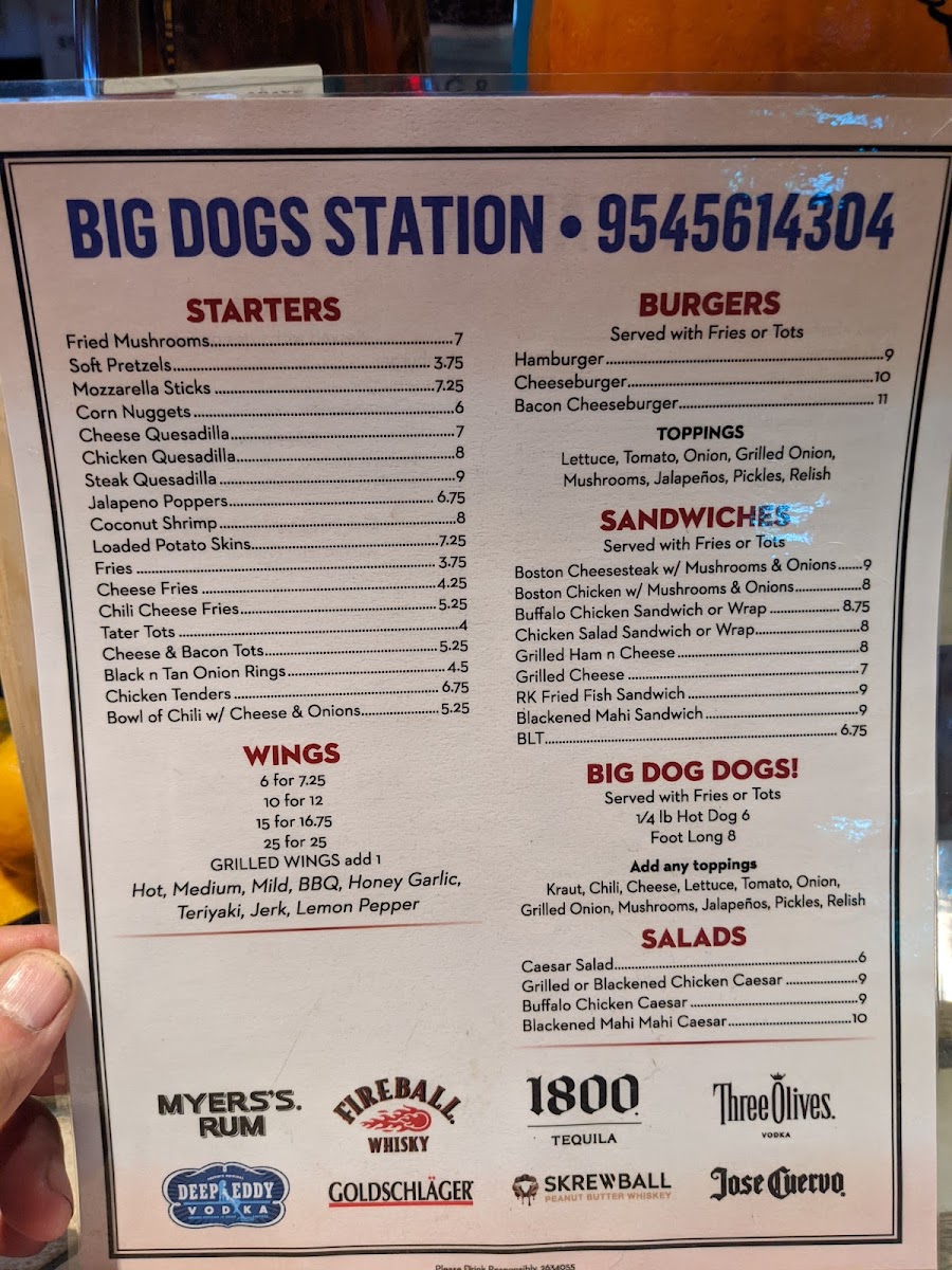 Big Dog Station - 3
