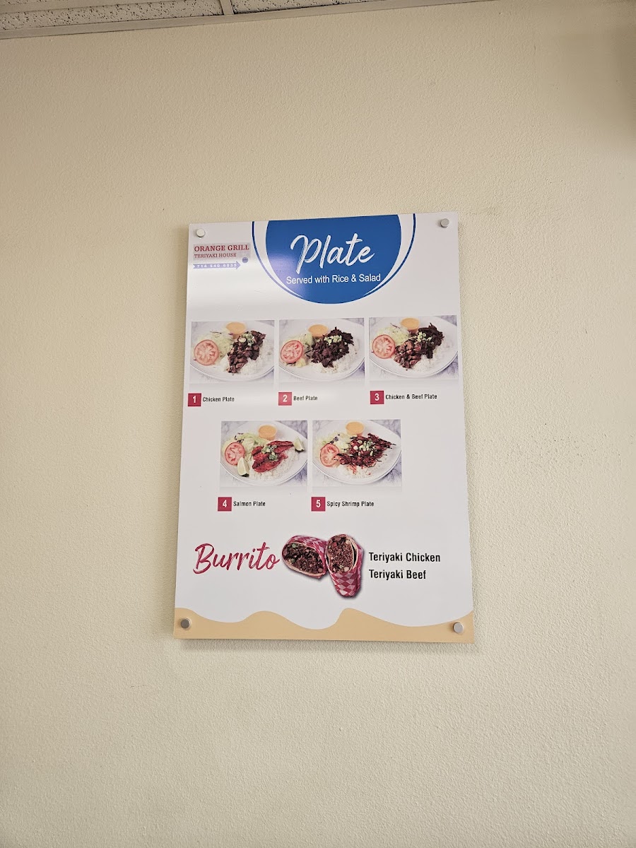 Orange Grill Teriyaki - 3