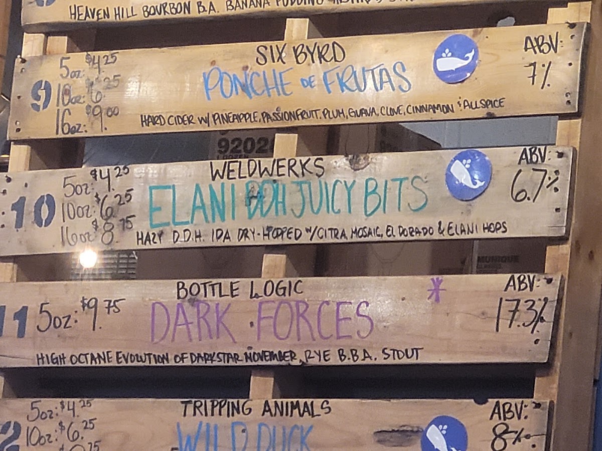 The Sleepy Whale - 1