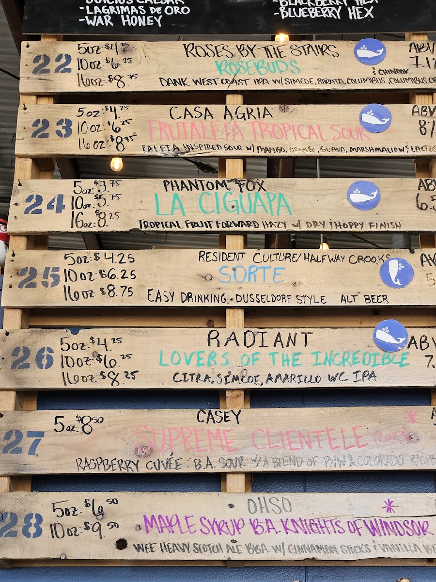 The Sleepy Whale - 2