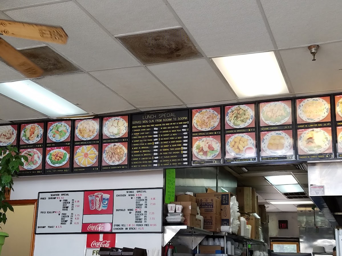 Main Moon Chinese Restaurant - 10