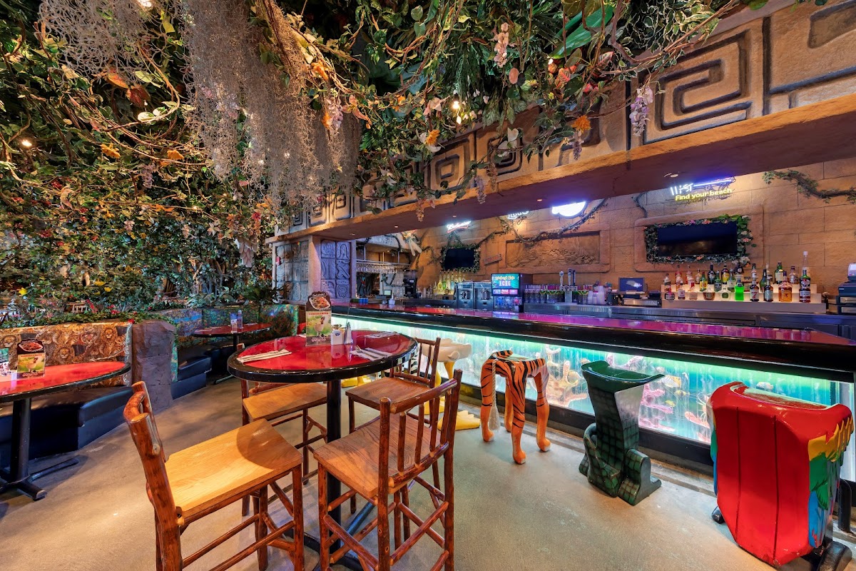 Rainforest Cafe