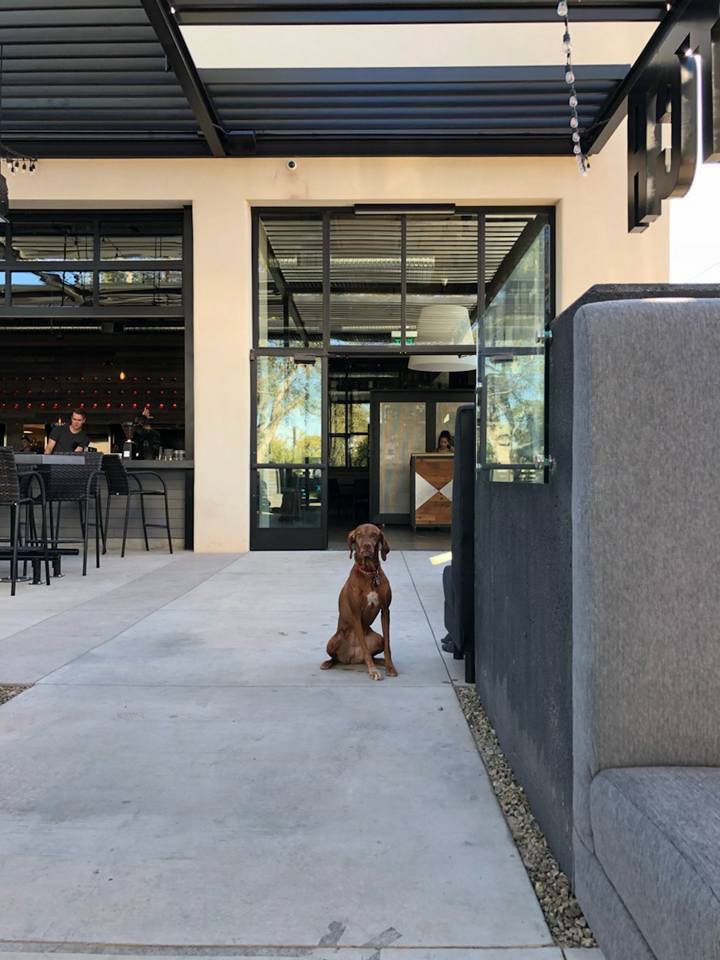 Pitch Scottsdale - Restaurant and Pizzeria