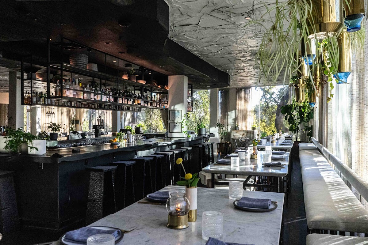 Arlo Grey by Kristen Kish