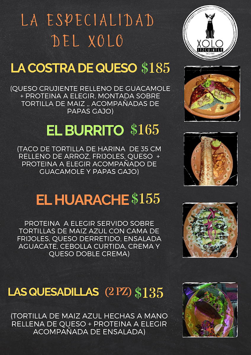 Xolo Itzcuintle taco bar - 2