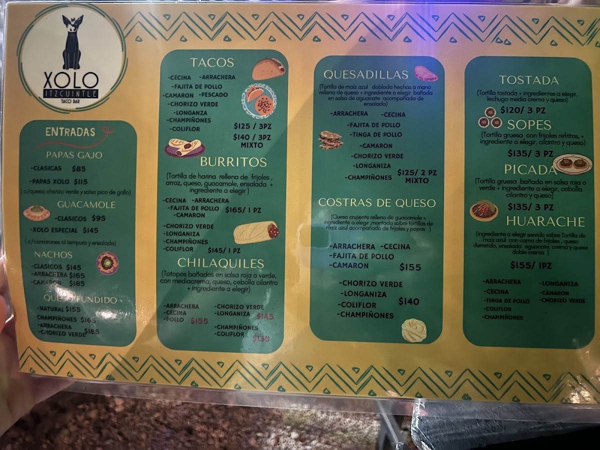 Xolo Itzcuintle taco bar - 9