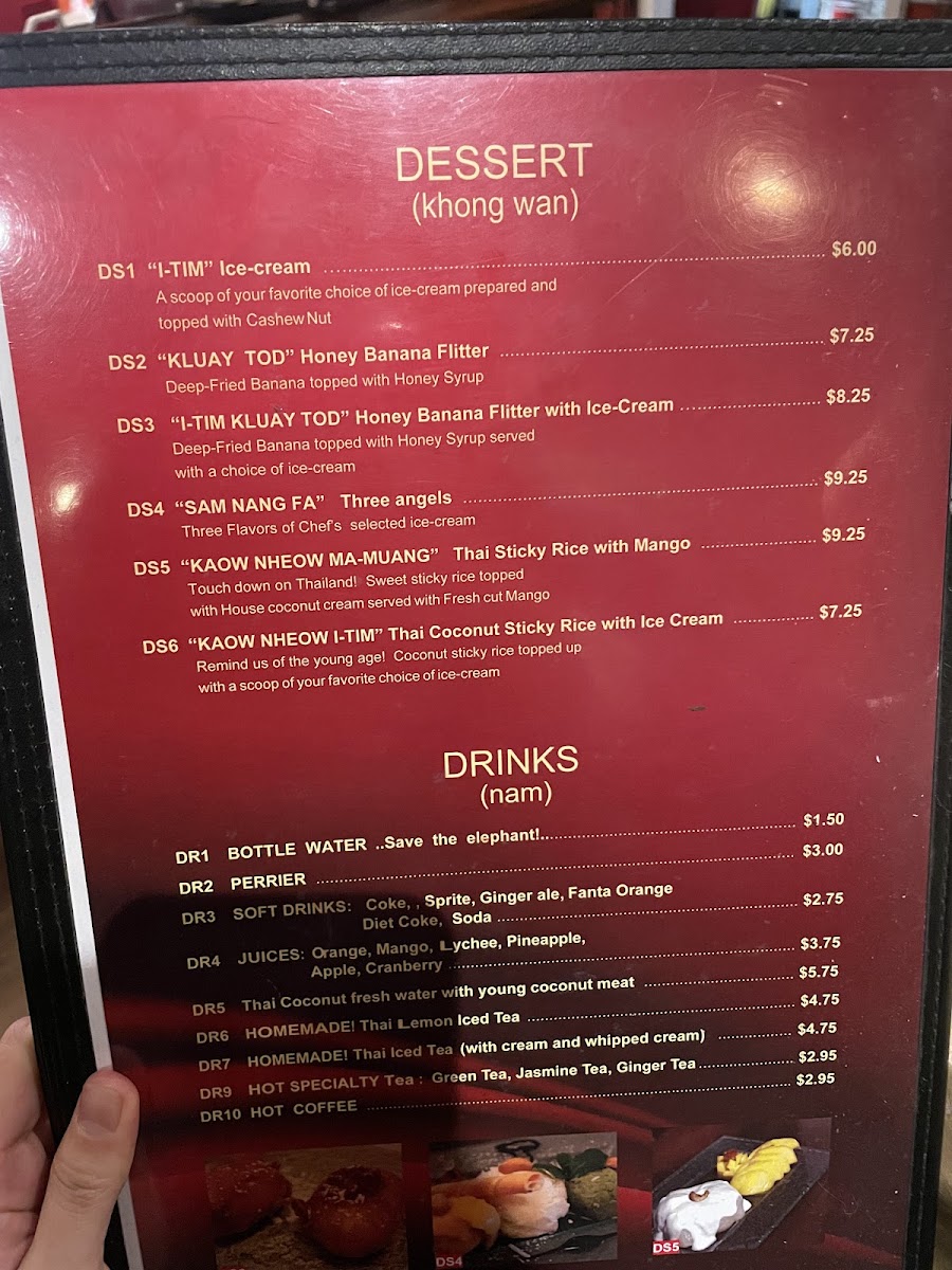 Chang Noi's Authentic Thai Cuisine - 1